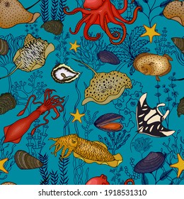 Animales marinos y algas sin soldadura. Ilustración de material vector eps10