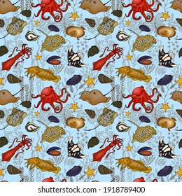  Sea animals and seaweed seamless pattern. Vector stock illustration eps10