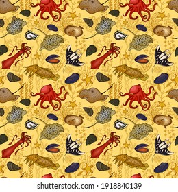 Animales marinos y algas sin soldadura. Ilustración de material vectorial eps10. 