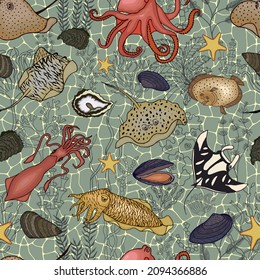 Animales marinos y algas sin soldadura. Ilustración de material vector eps10