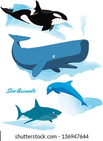 Sea Animals Series - Whale, Shark, Dolphin, Orca