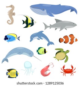 Sea animals set. Animal living in the ocean. Narwhal, whale, shark, shrimp, dolphin, etc. Isolated vector illustration