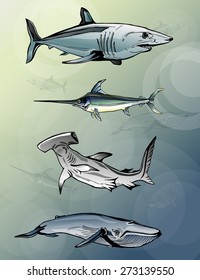 Sea animals set image design for postcard, poster, illustration and other decoration needs. 