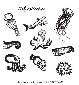 Sea animals set. Inhabitants of the deep sea. Animals living under water. Fish, mead and octopus. Ink drawing. Vector illustration