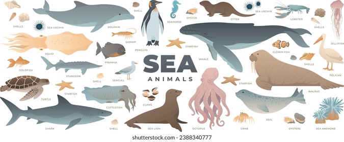 Sea animals set. Modern vector illustration of under water world. Marine life collection isolated on white background. Whale, shark, octopus, dolphin, turtle, penguin.