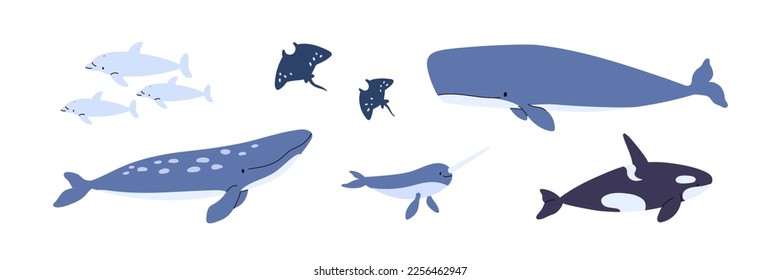 Animales marinos. Fauna oceánica, delfines, ballena asesina, narval, hez. Mamíferos acuáticos, grandes peces marinos nadando. Ilustraciones de vectores planos chilenos aisladas en fondo blanco