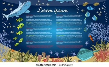 Sea animals - shark, tropical fish, corals, seahorses, seashells, starfish, stingray, algae.  Underwater ocean creatures. Vector seascape.