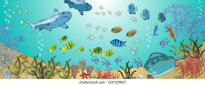 Sea animals - shark, tropical fish, corals, seahorses, seashells, starfish, stingray, algae.  Underwater ocean creatures. Vector seascape.
