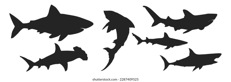 Sea animals. Sharks collection. Vector illustration on a white background.