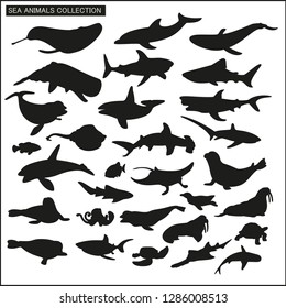 Sea animals silhouette collection on white background