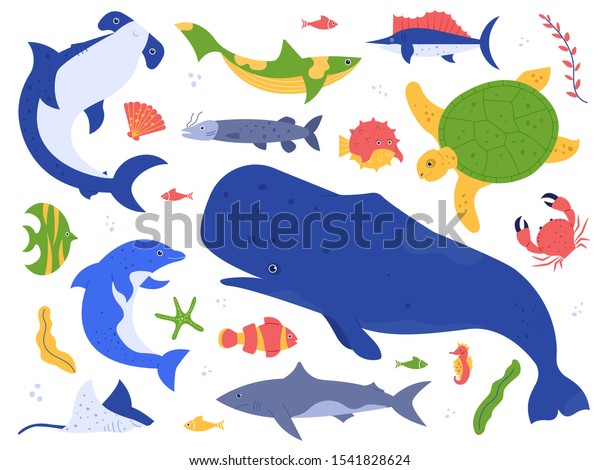 海の動物種 自然の生息地に生息する海洋動物 かわいいクジラ イルカ サメ 亀のベクターイラストセット 海中のワールドパック 白い背景に水草 海草のハンマー魚 のベクター画像素材 ロイヤリティフリー
