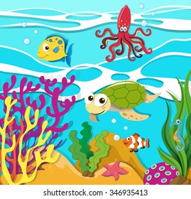 Sea animals swimming in the ocean illustration