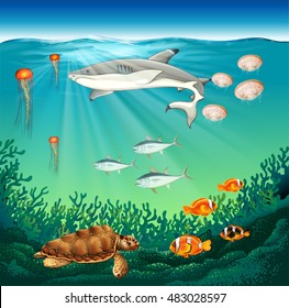 Under The Sea Clipart Images Stock Photos Vectors Shutterstock