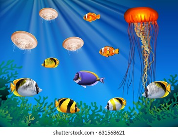 Sea animals swimming under the sea illustration