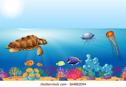 Sea animals swimming under the ocean illustration