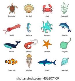 Sea animals: sea turtle, seashell, sea shell, crab, seaweed, squid, seahorse, octopus,dolphin, whale, shrimp, starfish, stingray,clown fish, jellyfish, shark. Isolated on white.