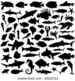 sea animals vector