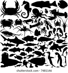 sea animals vector