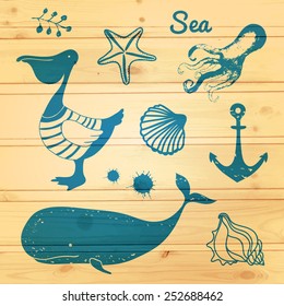Sea animals vector illustration. Vector blue background with pelican, whale, seashells, seagulls. Wood texture. 