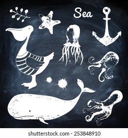 Sea animals vector illustration. Pelican, whale, shells, octopus. Vector background. Chalk  texture. Logo.