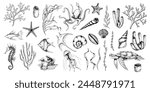 Sea Animals vector set with seaweeds, corals and seashells. Drawing of underwater life with seahorse and turtle in line art style. Engraving of octopus and jelly fish. Graphic etching of manta ray.