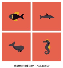 Sea animals vector stock collection