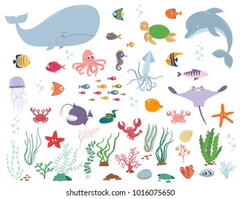 Sea Animals And Water Plants. Cartoon Vector Illustration On A White Background