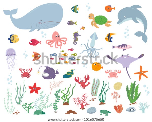 海洋动物和水植物 白色背景上的卡通矢量插图库存矢量图 免版税 海洋动物和水植物 白色背景上的卡通矢量插图库存矢量图 免版税