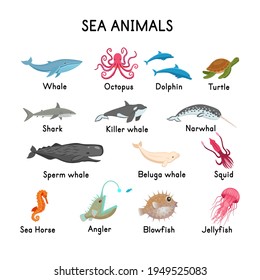 SEA ANIMALS: whale, seal, killer whale, sperm whale, narwhal, beluga, octopus, shark, dolphin, turtle, seahorse, jellyfish, angler, squid, blowfish on a white background.Flat cartoon illustration. 