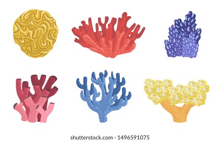 Sea Aquatic Plants Set, Colorful Underwater Seaweeds and Marine Algae Vector Illustration