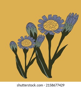 Sea Aster flower.yellow background. Vintage vector illustration, eps 10