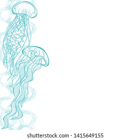 Sea background with jellyfish and place for text on white. Vector. Invitation, greeting card or an element for your design. Vertical composition.