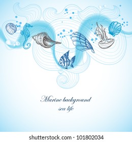 Sea background, marine fauna hand drawn elements