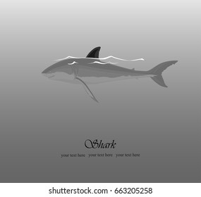 Sea background with a shark and a fin sticking out of the water, vector illustration, black and white