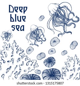 sea background, vector, hand drawing, jellyfish coral