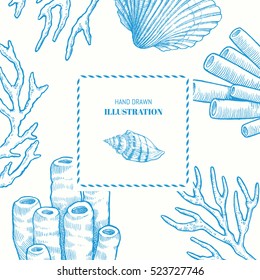 Sea Background. Vector Hand Drawn Graphic Illustration With Sprigs Of Coral, Sponge And Seashells. Vintage Marine Sea Life Sketch