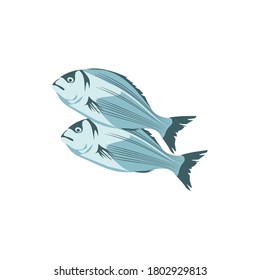 Sea bass, commercial fish species. Bream or crucian carp seafood. Restaurant menu or fish market design. Organic healthy nutritious food cartoon vector illustration isolated on white background
