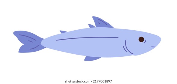 Sea Bass Fish Hand Drawn Illustration. Flat Vector Illustration Isolated On White Background