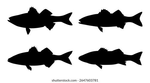 Sea Bass Fish Silhouette Collection - Marine Animal Icon Set in Black Vector Style