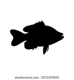 Sea bass fish silhouette icon vector illustration design on white background.