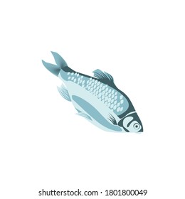 Sea bass fresh delicious fish. Seafood menu, fish market design element. Organic natural healthy nutritious vegetarian food cartoon vector illustration isolated on white background