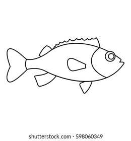 Sea bass icon. Outline illustration of sea bass vector icon for web