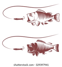 sea bass and lure template vector illustration