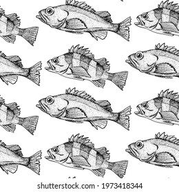 Sea bass seamless pattern. Hand drawn vector fish. Sea, river or ocean fish. Design for fishing catch or fisher sport club. Fish market, menu seafood. Design template, banner