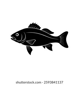 Sea Bass Silhouette Vector Art and Black Sea Bass Fish Design Illustration