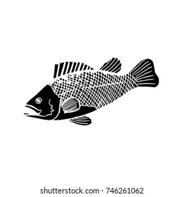 sea bass vector sketch