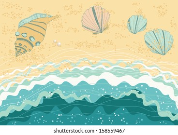 Sea beach with several seashells