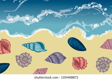 Sea, beach, waterline with different shells, vector