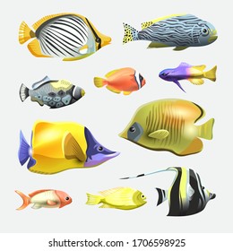 Sea beautiful fish collection isolated on white background. Flat design fish. Vector illustration, fishes. Fish collection. Aquarium modern flat fishes. Set of aquarium fishes