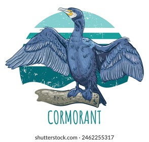 Cormorán de ave marina. El Pájaro Marino Oscuro vive en las rocas cerca del mar o el océano. Ilustración vectorial sobre un fondo vintage en colores del mar.